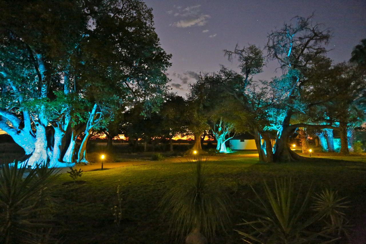 La Rochelle Lodge Okaukuejo Esterno foto